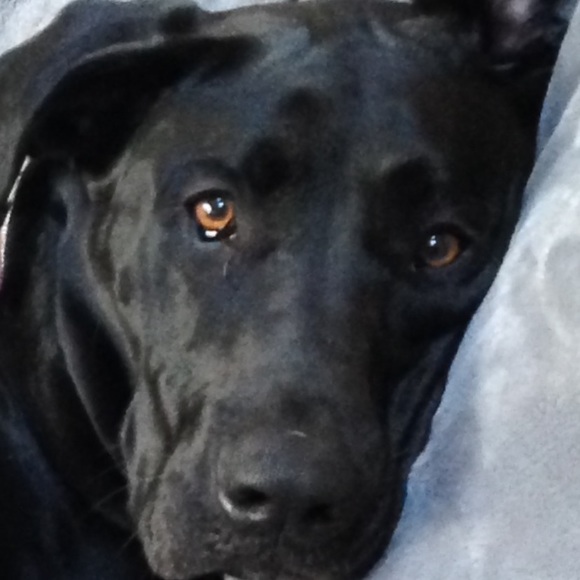 Meet your Posher, Bárbara - Picture 1 of 3